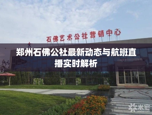 郑州石佛公社最新动态与航班直播实时解析