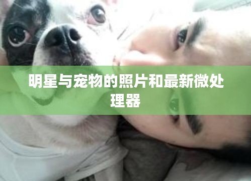 明星与宠物的照片和最新微处理器
