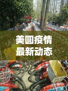 美圆疫情最新动态与濮阳热点透视