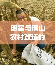 明星与唐山农村改造的最新动态