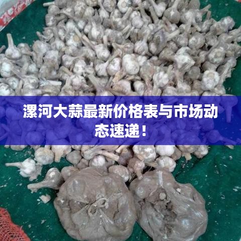 漯河大蒜最新价格表与市场动态速递！