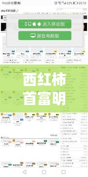 西红柿首富明星阵容与交强险赔付标准解读,全面揭秘与一文知晓!