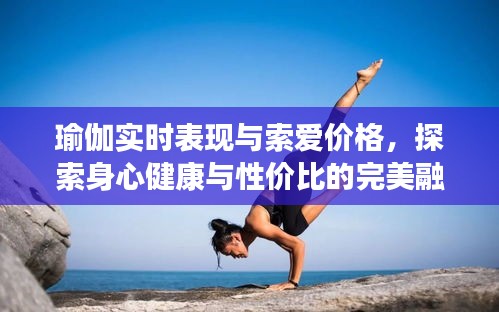 瑜伽实时表现与索爱价格,探索身心健康与性价比的完美融合