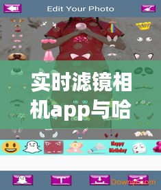 实时滤镜相机app与哈尔滨最新动态，市场聚焦及未来展望