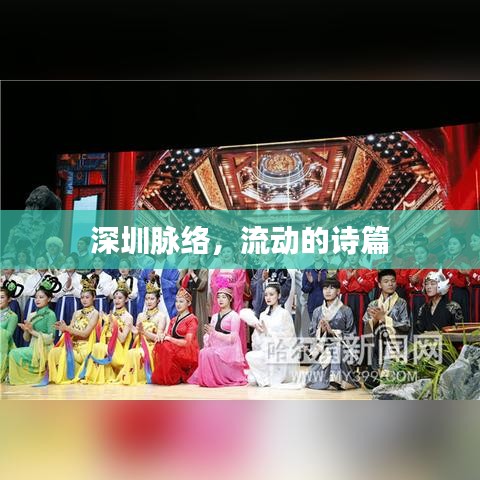 深圳脉络，流动的诗篇