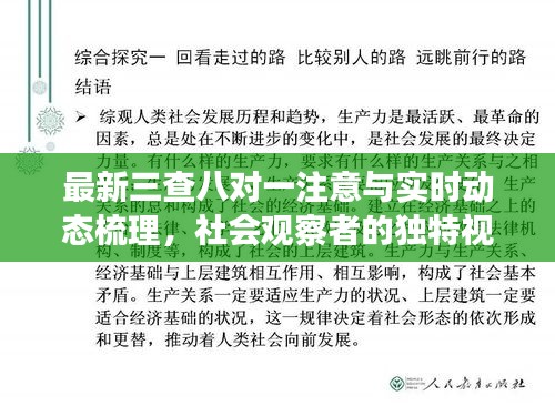 最新三查八对一注意与实时动态梳理，社会观察者的独特视角与解读