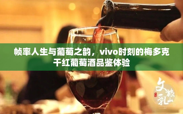 帧率人生与葡萄之韵，vivo时刻的梅多克干红葡萄酒品鉴体验