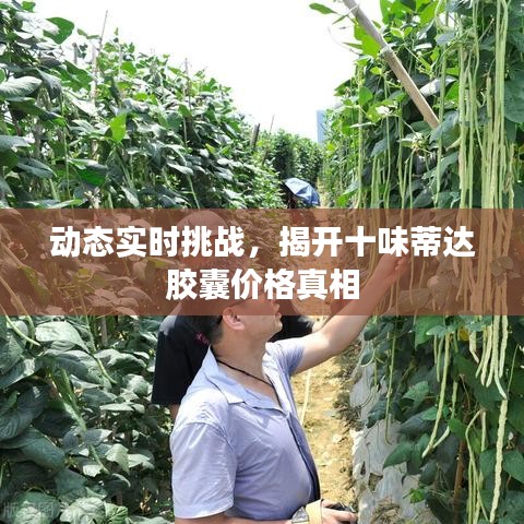 动态实时挑战,揭开十味蒂达胶囊价格真相