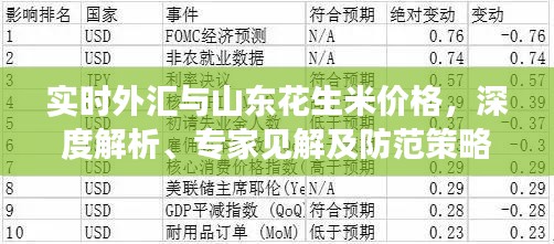 实时外汇与山东花生米价格，深度解析、专家见解及防范策略