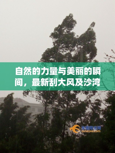 自然的力量与美丽的瞬间,最新刮大风及沙湾实时照片展现大自然魅力