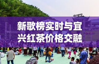 新歌榜实时与宜兴红茶价格交融,音乐与茶市的最新动态