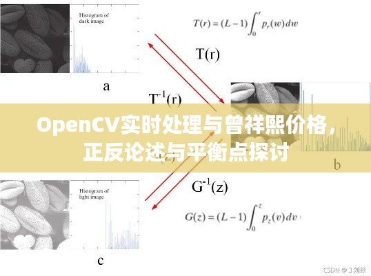 OpenCV实时处理与曾祥熙价格,正反论述与平衡点探讨