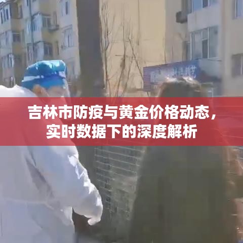 吉林市防疫与黄金价格动态，实时数据下的深度解析