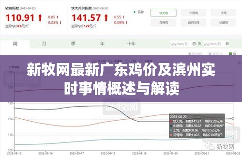 新牧网最新广东鸡价及滨州实时事情概述与解读