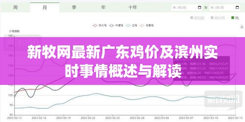 新牧网最新广东鸡价及滨州实时事情概述与解读