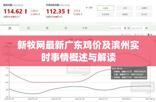 新牧网最新广东鸡价及滨州实时事情概述与解读