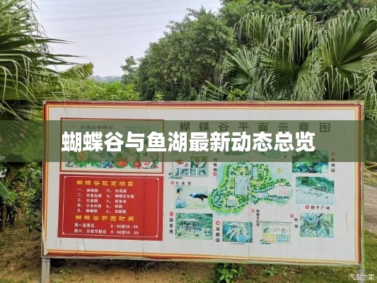 蝴蝶谷与鱼湖最新动态总览