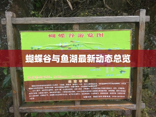 蝴蝶谷与鱼湖最新动态总览