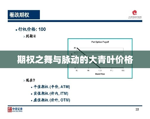 期权之舞与脉动的大青叶价格