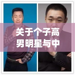 关于个子高男明星与中原证券集成版最新的深入阐述