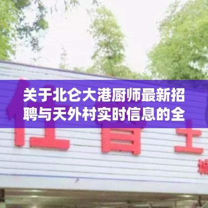 关于北仑大港厨师最新招聘与天外村实时信息的全面解读