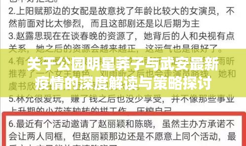 关于公园明星莽子与武安最新疫情的深度解读与策略探讨