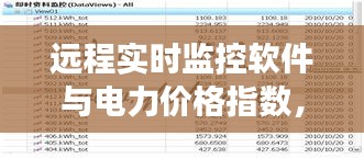 远程实时监控软件与电力价格指数,应用、解读与风险防范