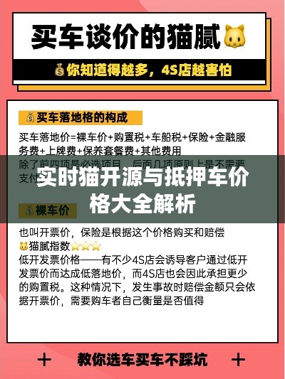 实时猫开源与抵押车价格大全解析