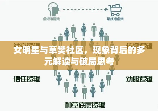 女明星与草樊社区,现象背后的多元解读与破局思考