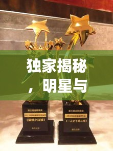 独家揭秘,明星与狐妖新动态——1月2日魅力大爆料!