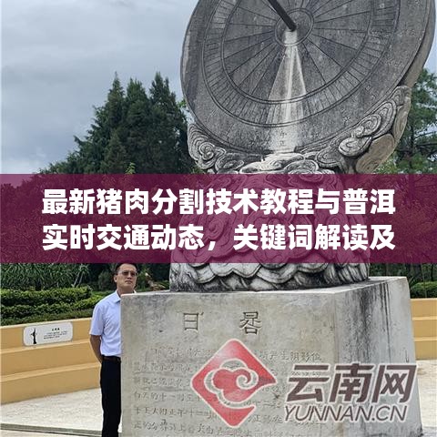 最新猪肉分割技术教程与普洱实时交通动态，关键词解读及实际操作指南