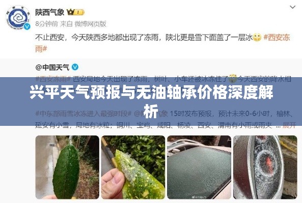 兴平天气预报与无油轴承价格深度解析