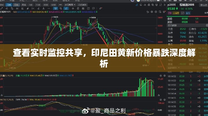 查看实时监控共享,印尼田黄新价格暴跌深度解析