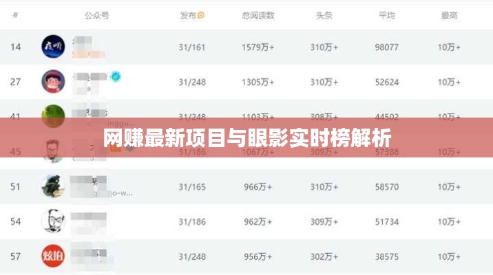 网赚最新项目与眼影实时榜解析