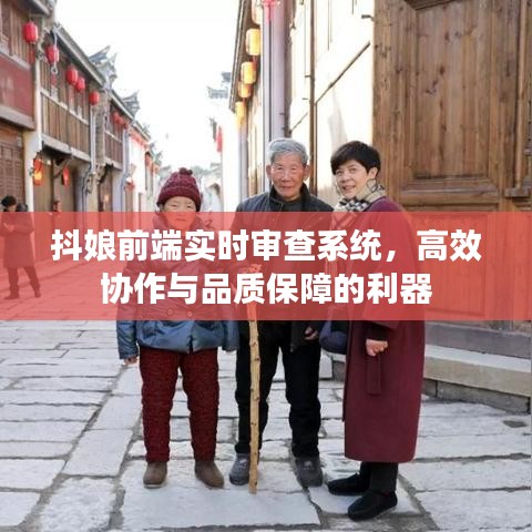 抖娘前端实时审查系统，高效协作与品质保障的利器