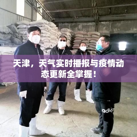 天津,天气实时播报与疫情动态更新全掌握!