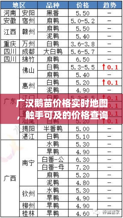 广汉鹅苗价格实时地图,触手可及的价格查询之旅