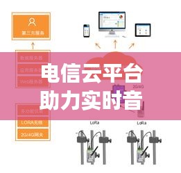 电信云平台助力实时音视频交流,市场探秘与价格走势分析