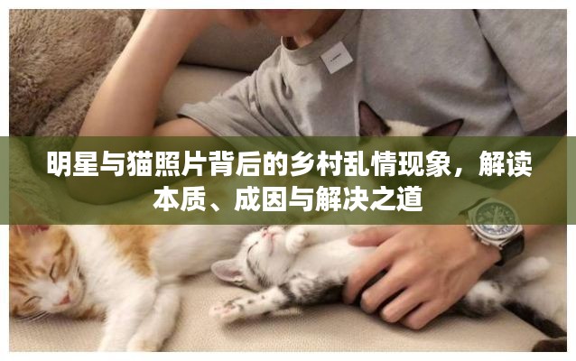 明星与猫照片背后的乡村乱情现象，解读本质、成因与解决之道