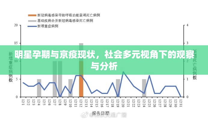 明星孕期与京疫现状，社会多元视角下的观察与分析