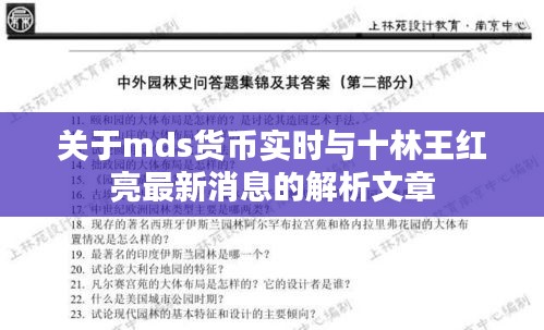 关于mds货币实时与十林王红亮最新消息的解析文章