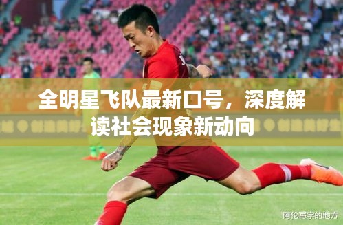 全明星飞队最新口号，深度解读社会现象新动向