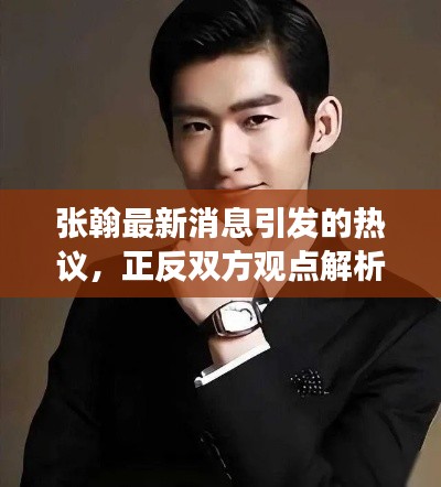 张翰最新消息引发的热议，正反双方观点解析与实时反馈影响