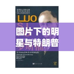 图片下的明星与特朗普通告，名人政治现象的深度观察