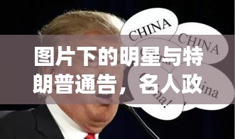 图片下的明星与特朗普通告,名人政治现象的深度观察