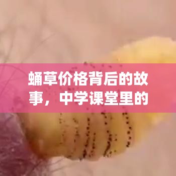 2026年2月25日 第10页