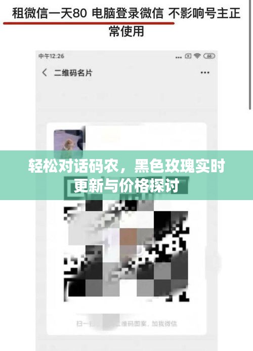 轻松对话码农,黑色玫瑰实时更新与价格探讨