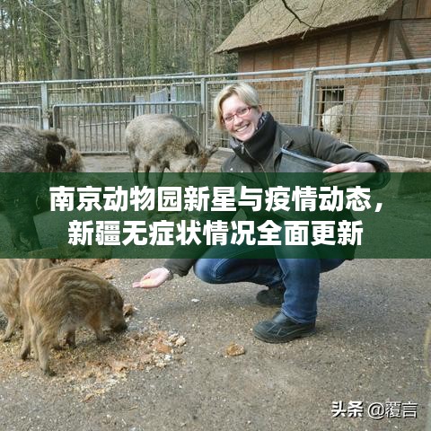 南京动物园新星与疫情动态,新疆无症状情况全面更新
