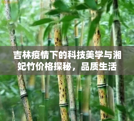 吉林疫情下的科技美学与湘妃竹价格探秘，品质生活的便捷选择