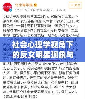 社会心理学视角下的反女明星现象与兰州疫情通报关联分析
